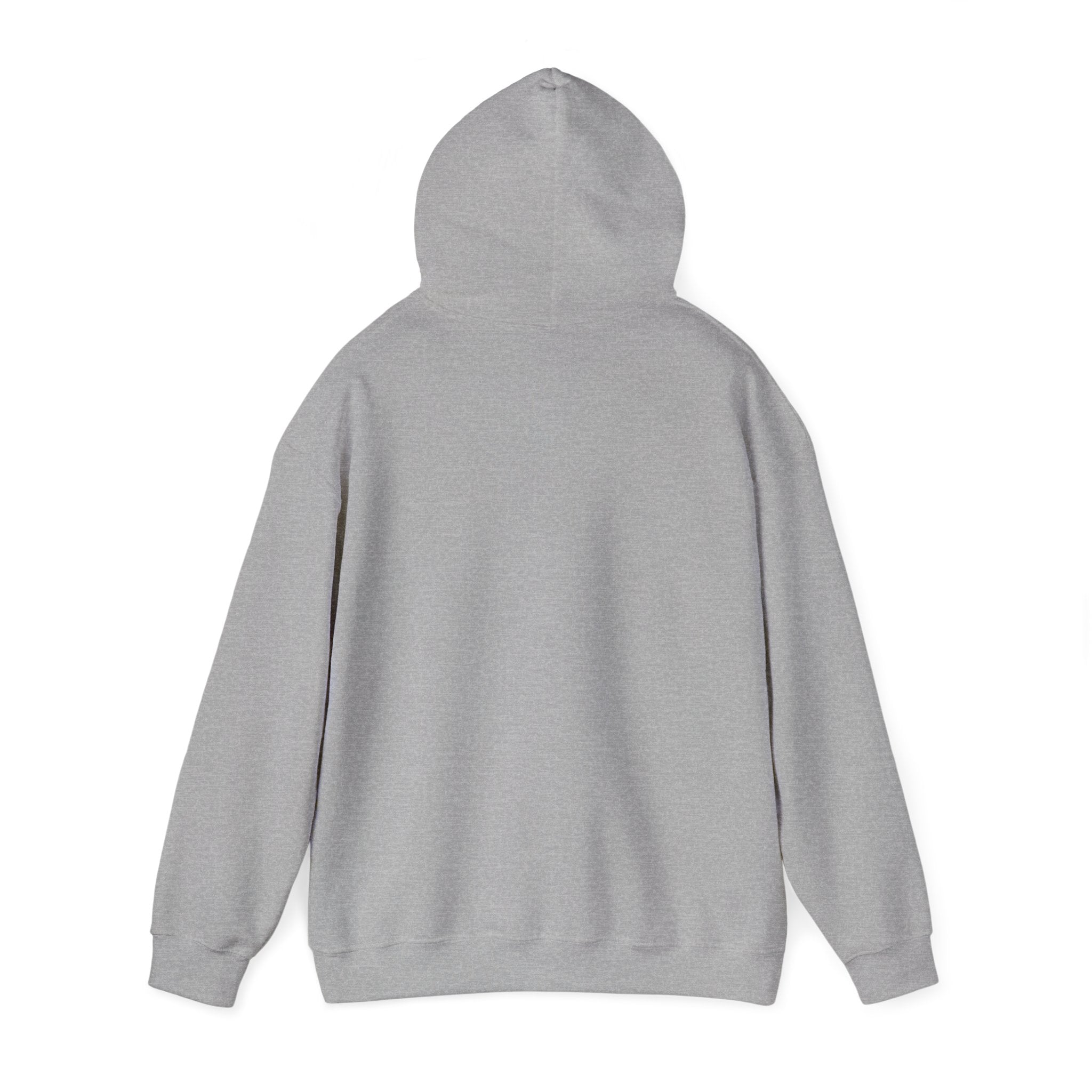 Universal Reminder Hoodie